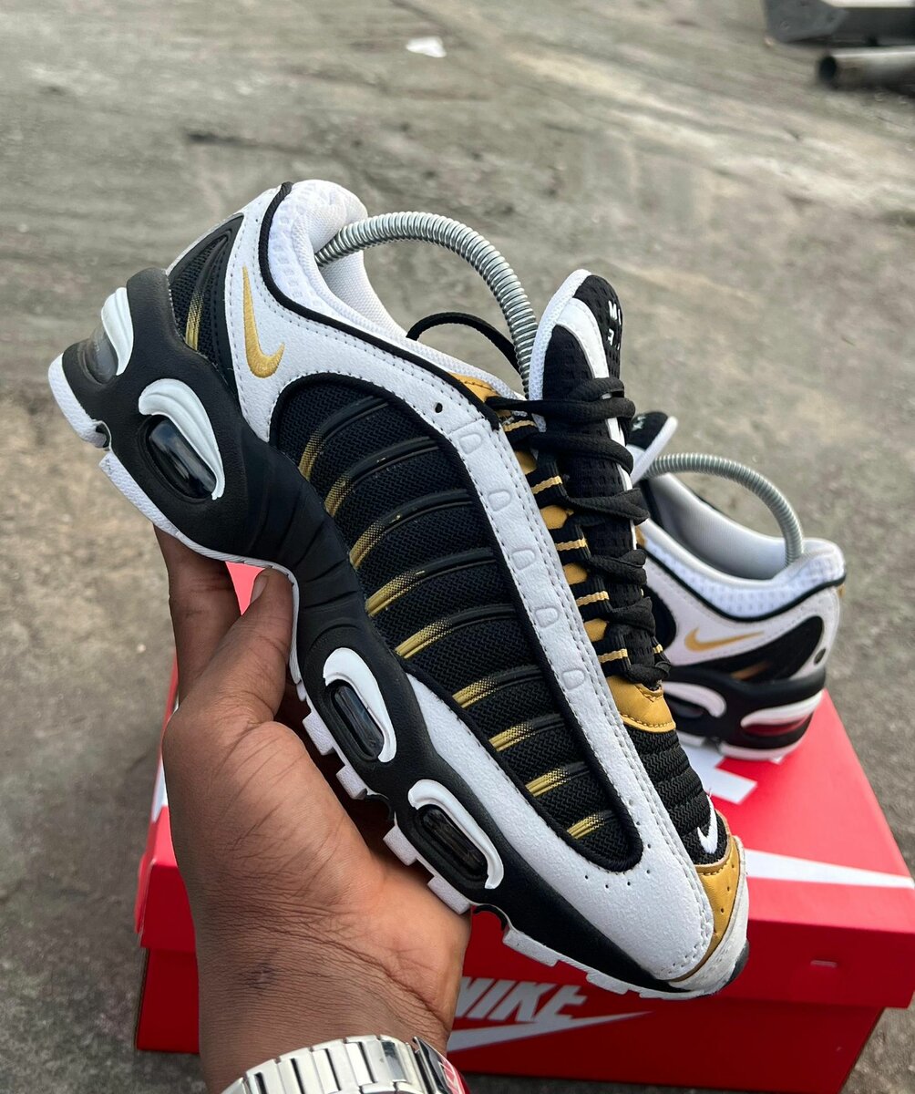 Nike TN air Max plus ( original dans carton)
