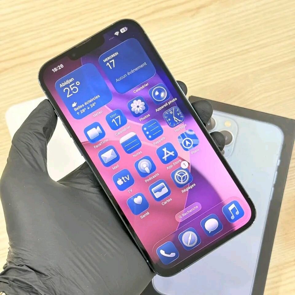 iPhone 13 Pro Max 256 Go