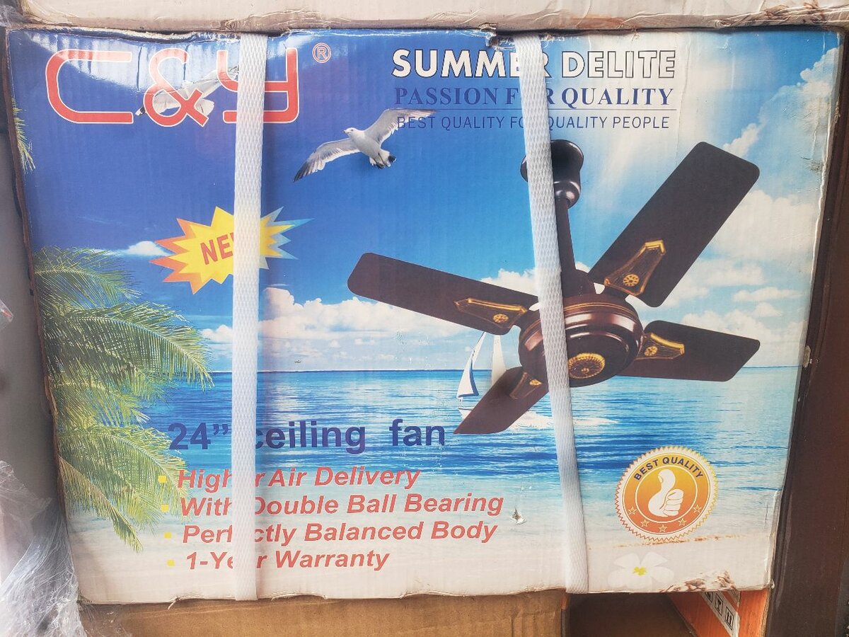 C&Y 24" Ceiling Fan