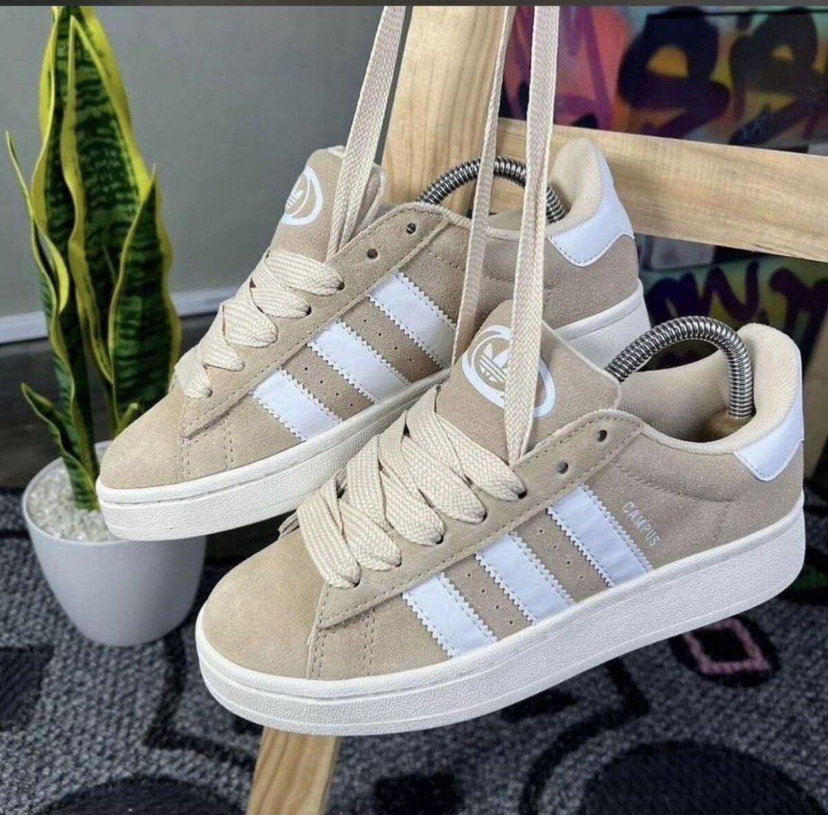 Adidas campus