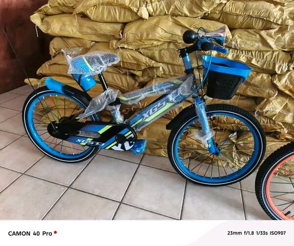Vélo Enfant avec Panier Bleu