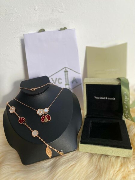 Set de bijoux élégants