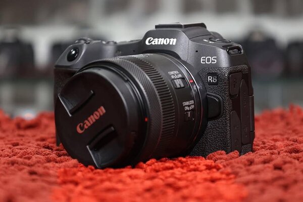 Canon EOS R8 avec 24-50mm STM