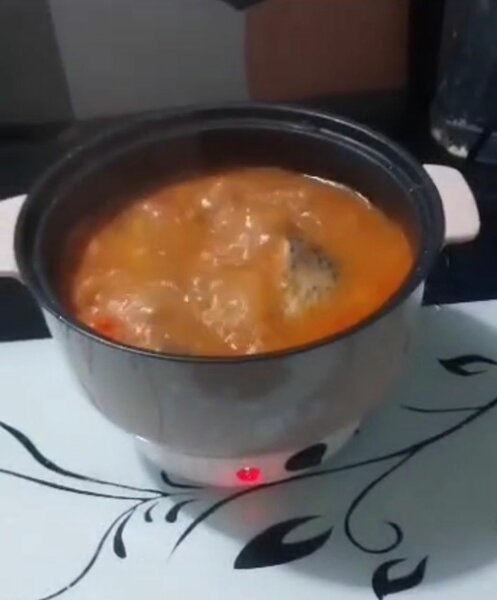 Mini Cuisinière Électrique Multifonction