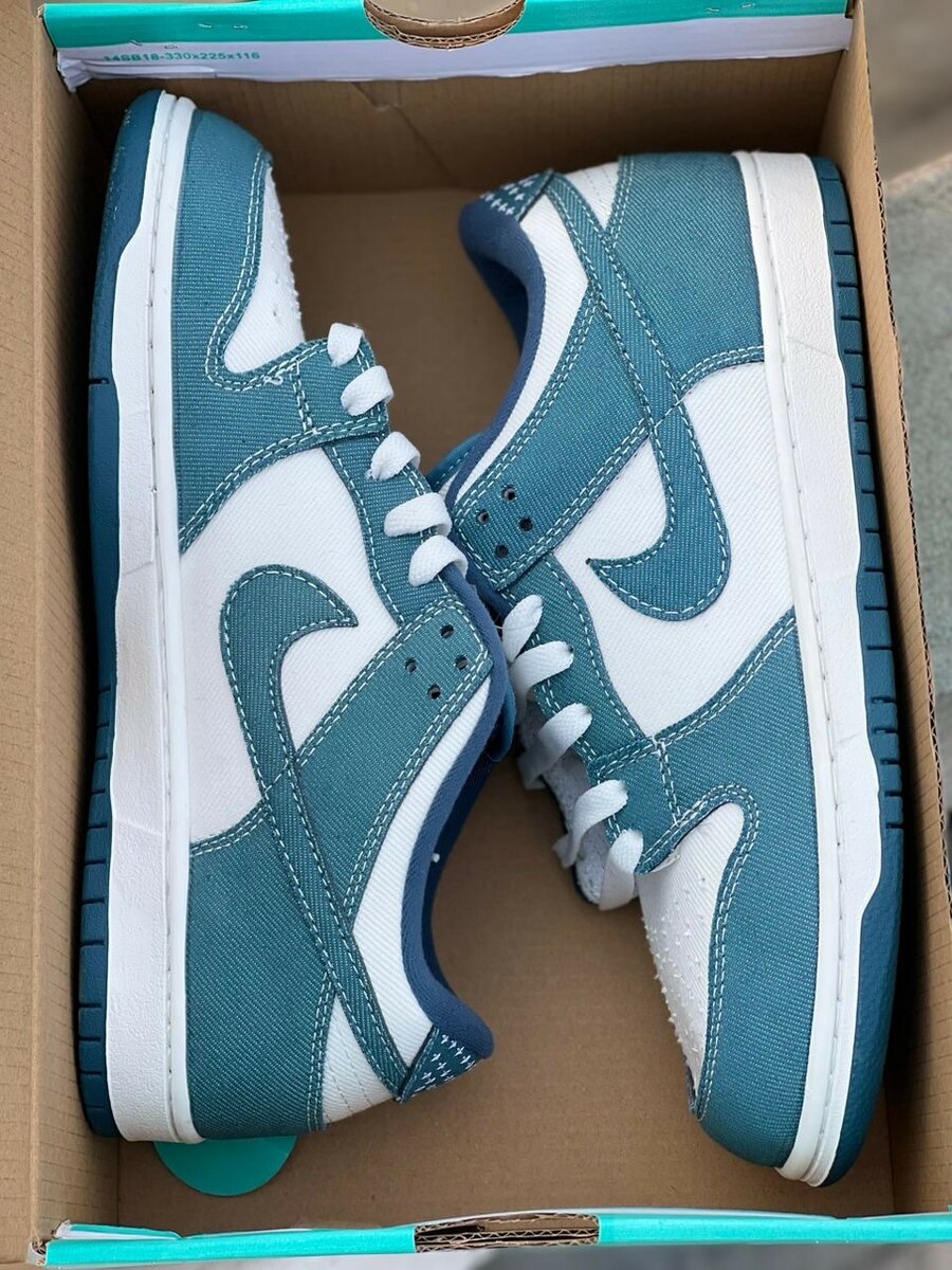 JORDAN NIKE SB COULEUR RARE