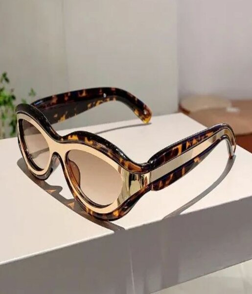 Lunettes de soleil rétro moderne