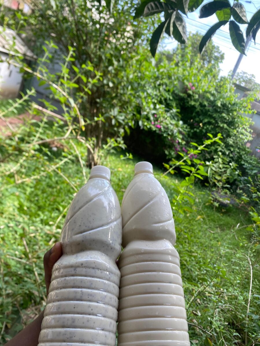 Dêguê de mil et couscous