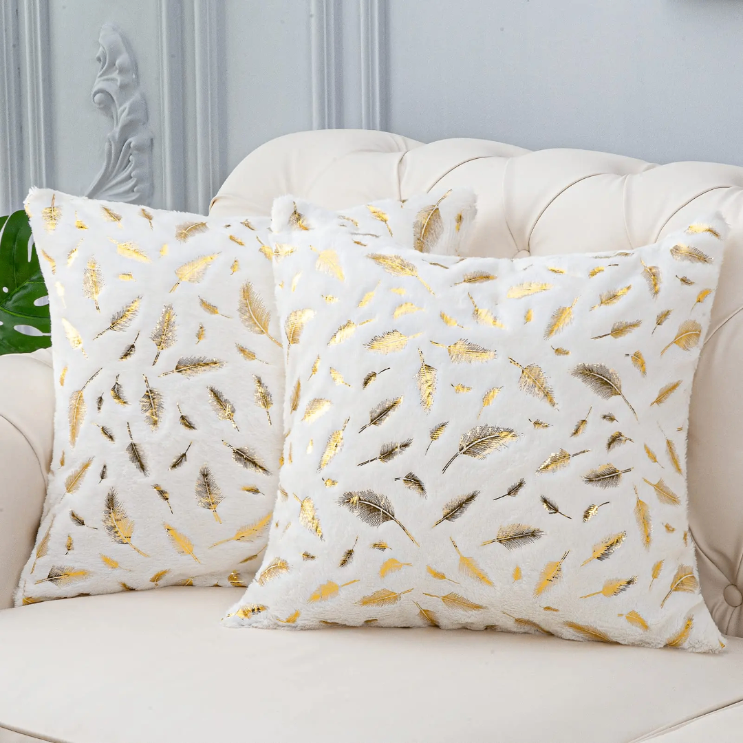 Coussin décoratif  1 à 3000f.