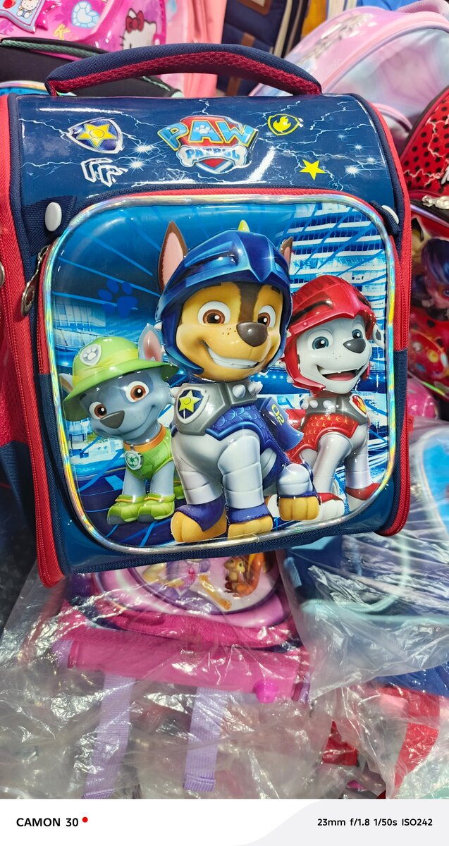 Sac Paw Patrol CE1
