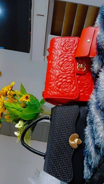 Sacs à main élégants pour femmes