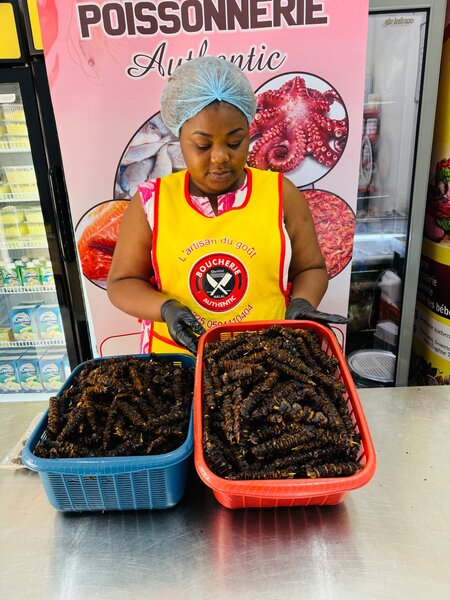 brochette de coquillage 15pcs