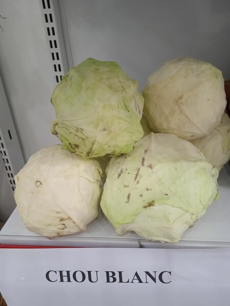 Chou Blanc 1 190 f / kg
