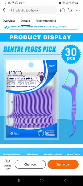 Mint Scent Dental Floss Picks