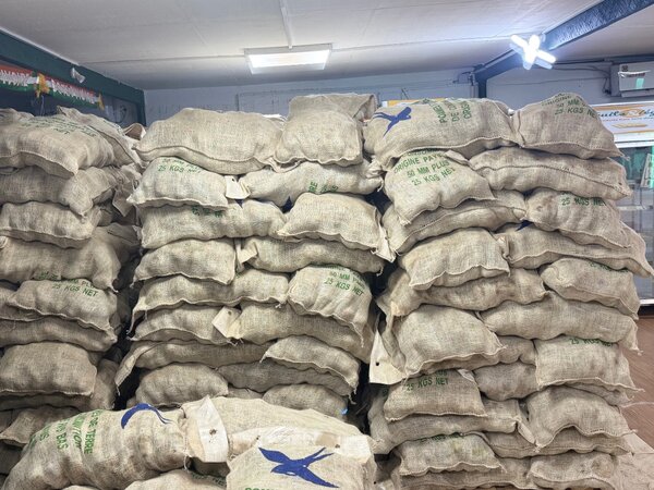 Pomme de terre 25 kg