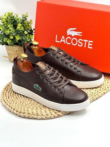 Lacoste men shoe