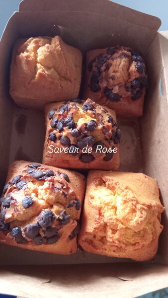 Muffins pépite chocolat/nature