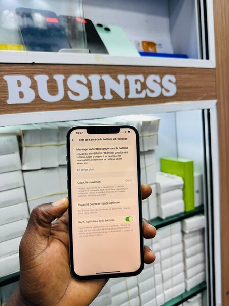 12 pro max 256Go écran et batt