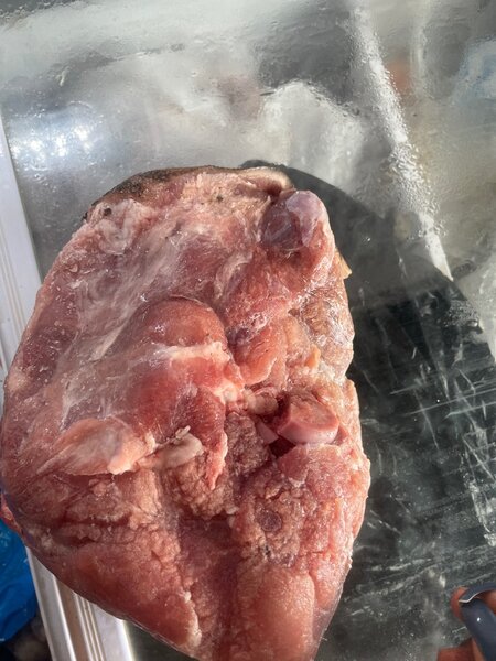 Viande de porc fraîche