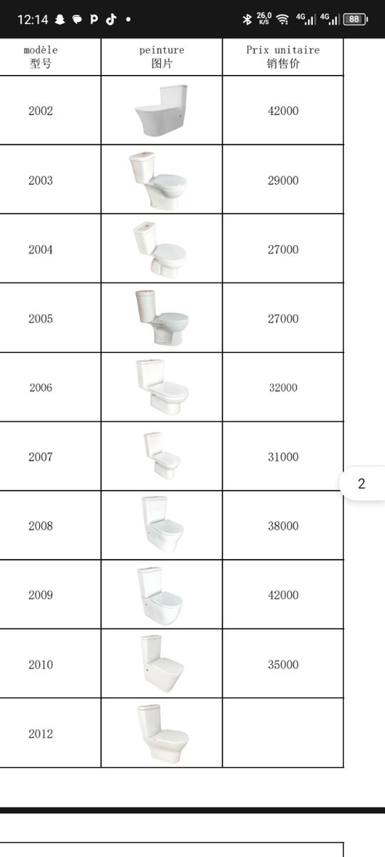 Toilettes modernes élégantes