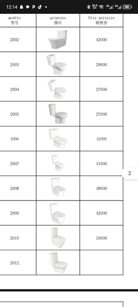 Toilettes modernes élégantes
