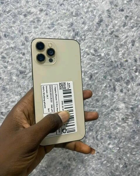 iPhone 12 Pro Max 256Go