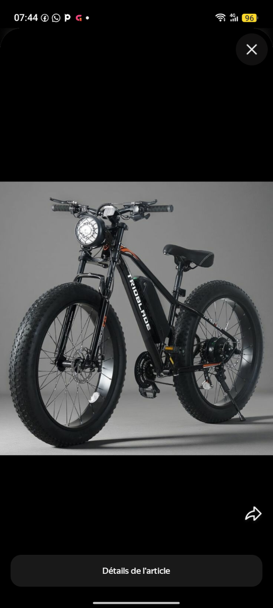 Vélo électrique tout-terrain