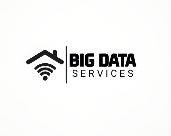 Big Data Services 