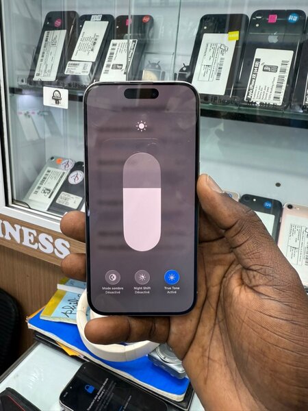 iPhone 15 Pro Argent