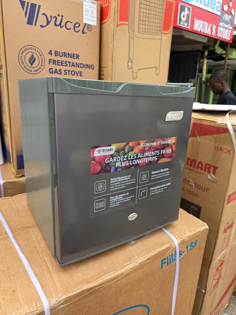 Mini Réfrigérateur Économique