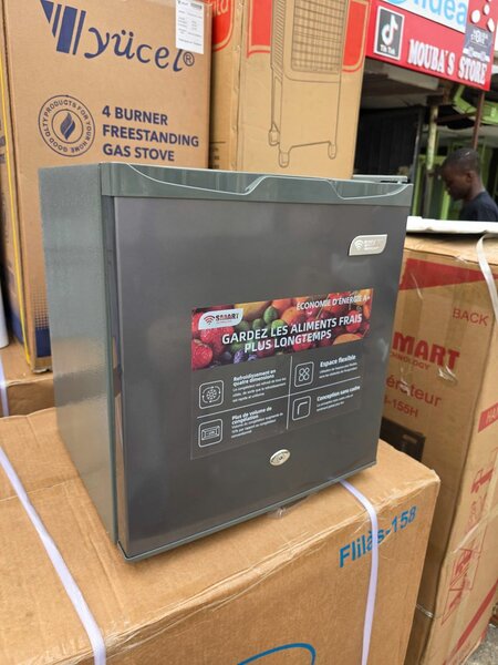 Mini Réfrigérateur Économique