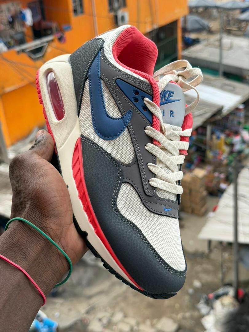 Nike Air Max sneakers