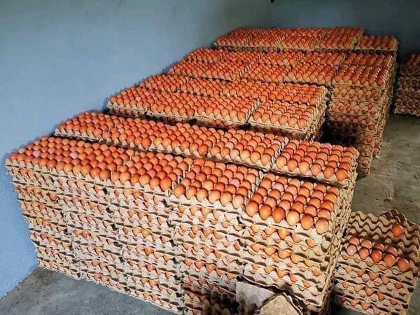 Œuf