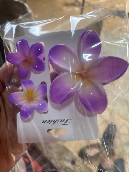 Barrettes fleurs colorées