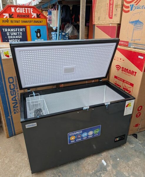 Congélateur NASCO 200L Économique