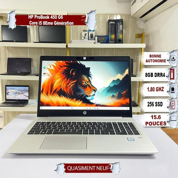 HP ProBook 450 G6 i5 8ème