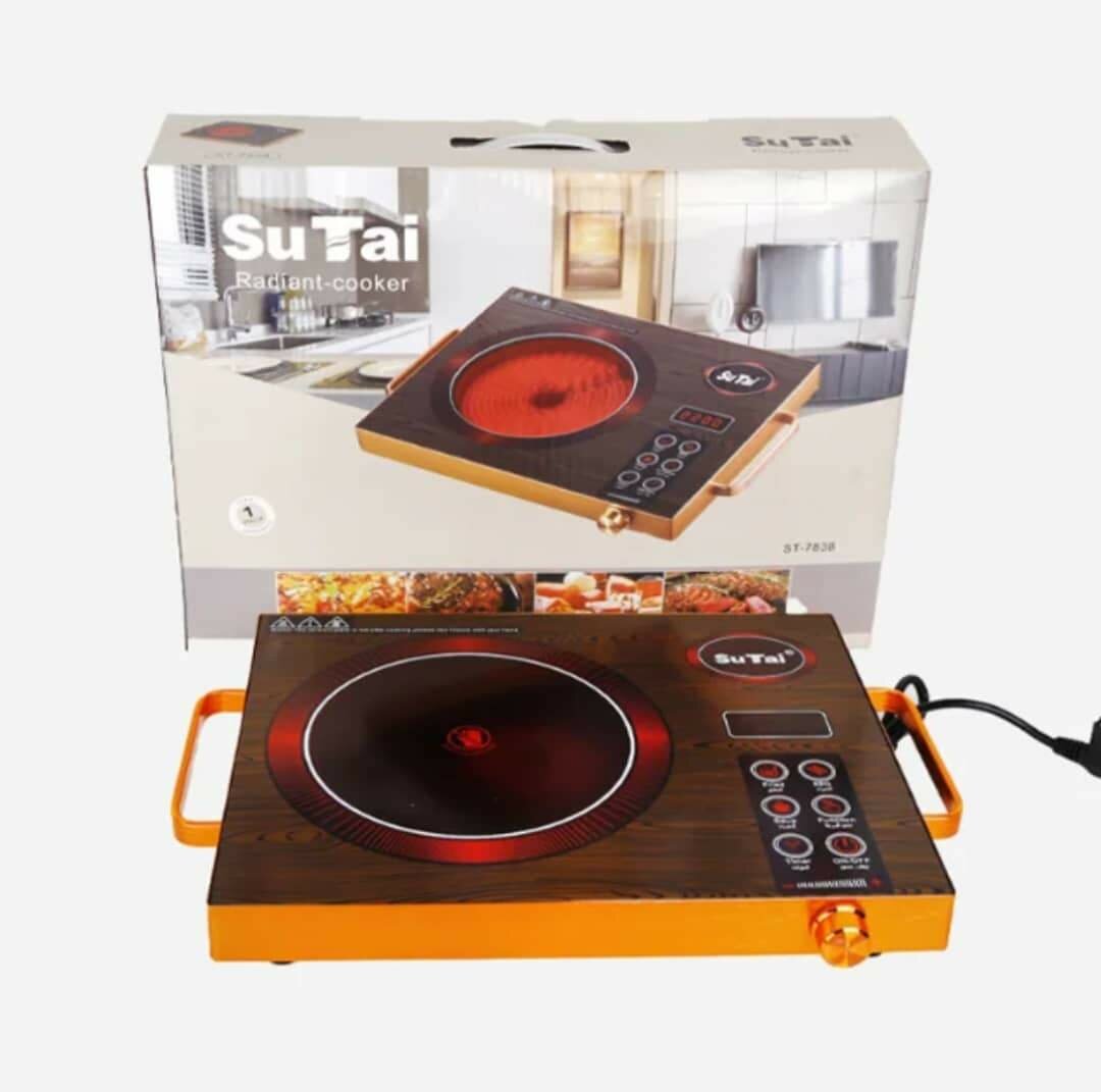 Plaque de cuisson électrique portable