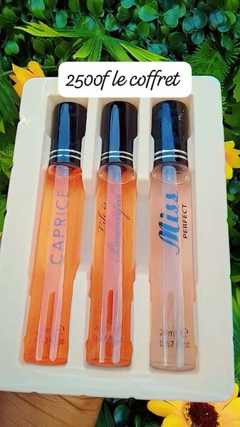 Mini Parfums pour Femme - 3 x 2ml