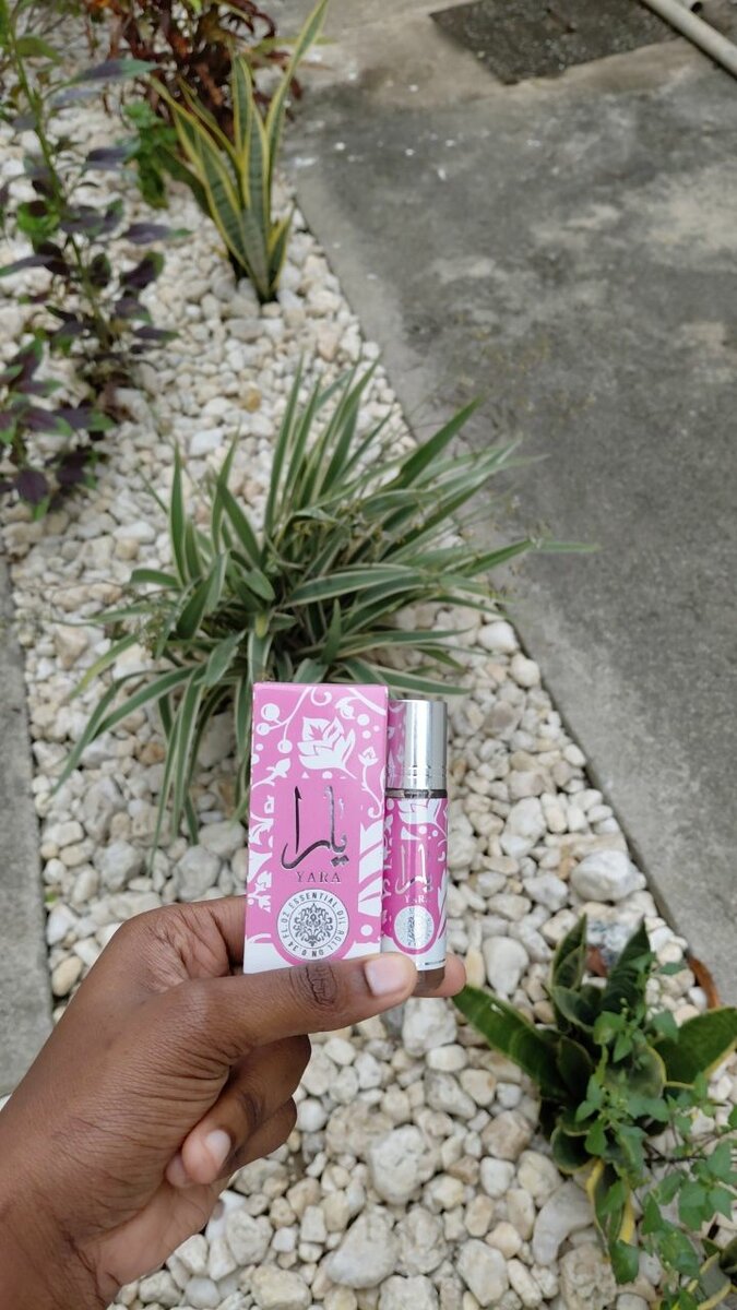 Huile parfumé arabe 10ml