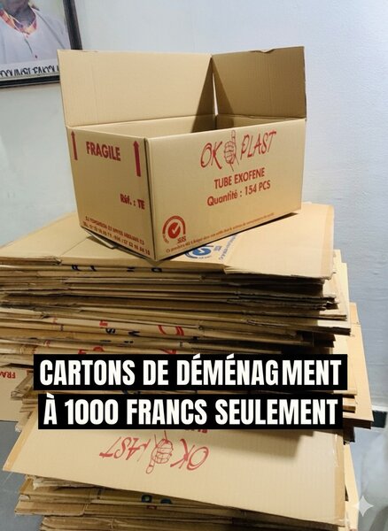 Cartons de déménagement solides