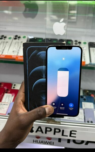 iPhone 12 Pro Max Bleu