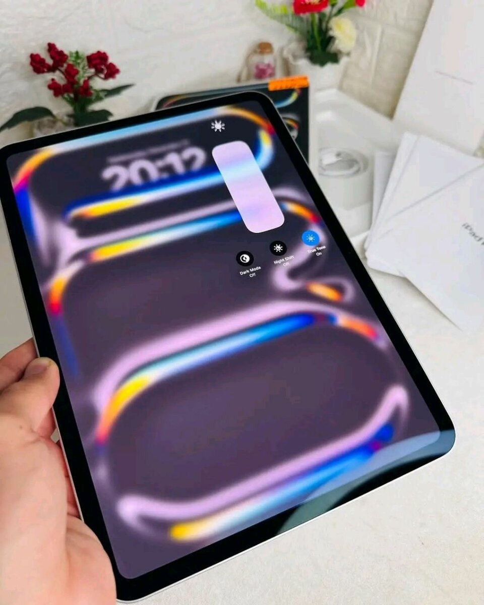 iPad Pro 12.9 pouces