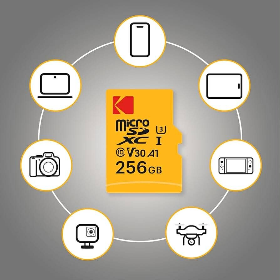 Carte mémoire Kodak  256GB