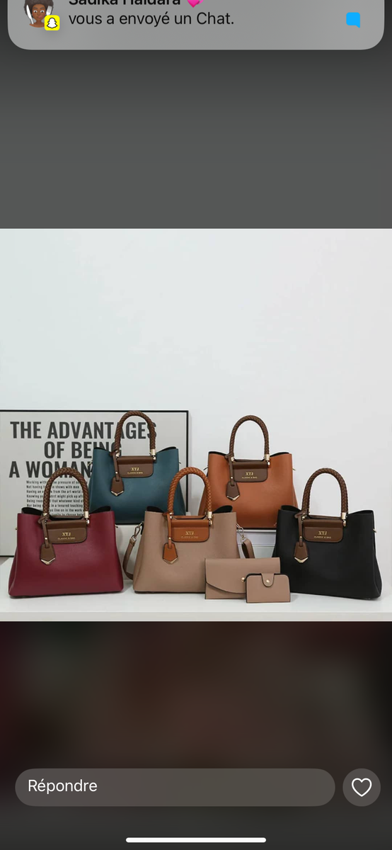 Sac à main élégant 3 pièces