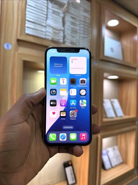 iPhone 12 Pro Max argent