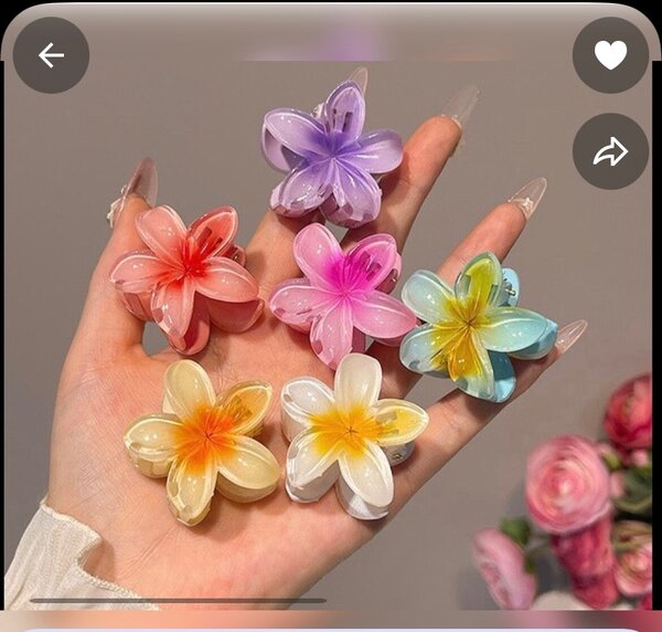 Pinces à cheveux fleurs colorées