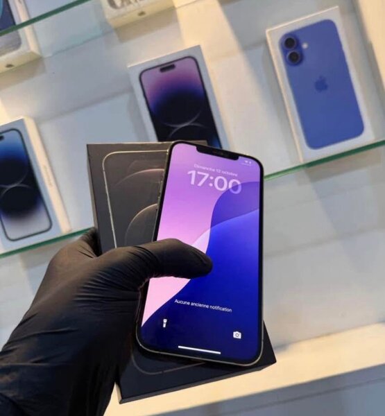 iPhone 12Pro Max Haut de Gamme