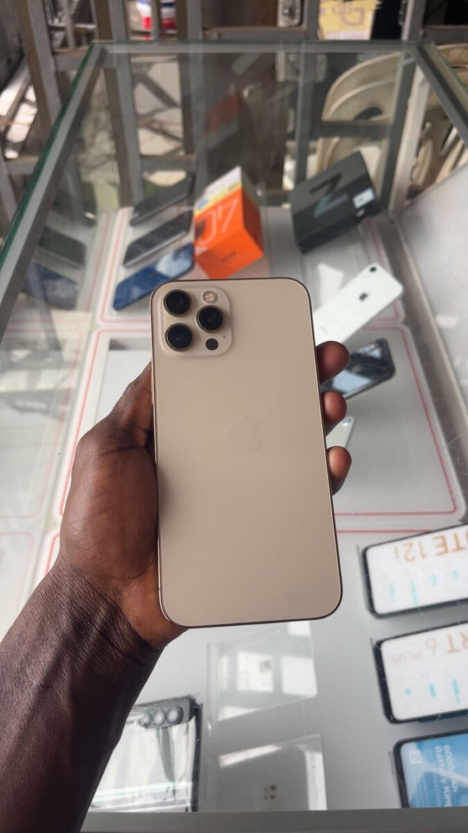 Smartphone iPhone 12 Pro Max