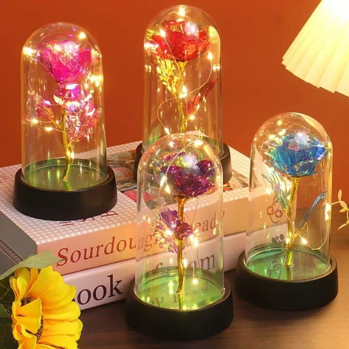 Rose Éternelle Lumineuse