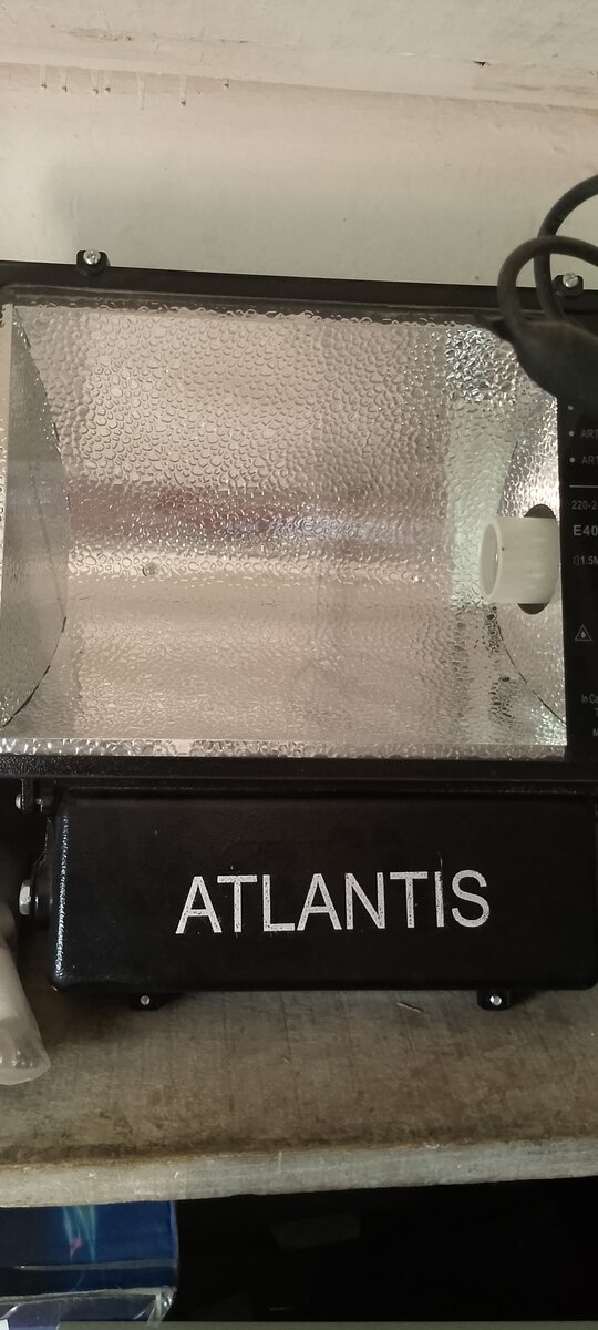 Atlantis