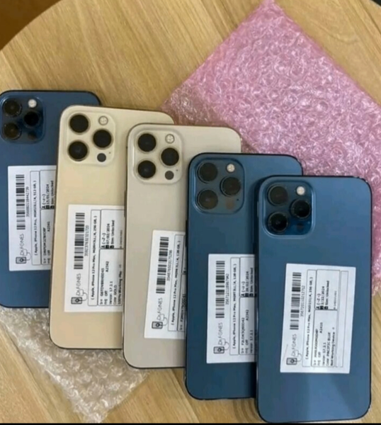 Coque iPhone 11 Pro - Arrière de rechange